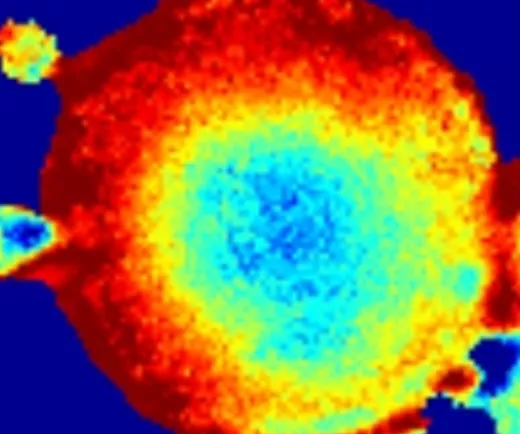 Electrochem_battery_2789